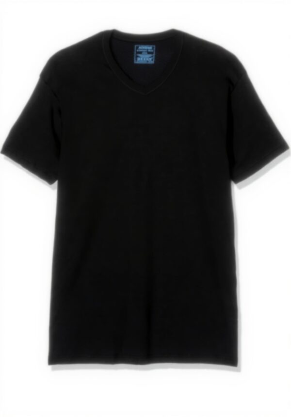 T-shirt Homme Coton Bio Athena Col V Lot 2