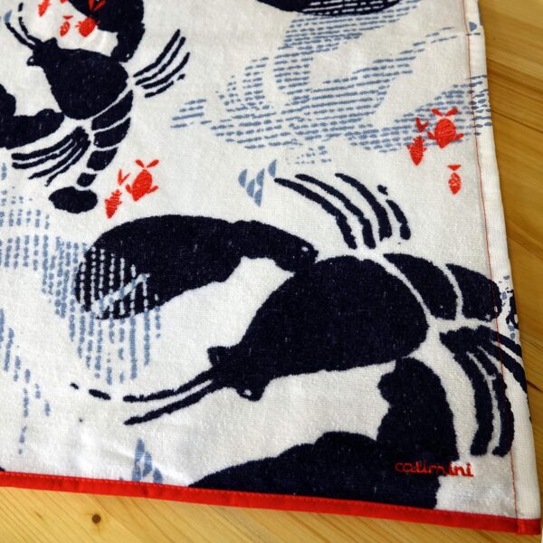 Serviette de toilette Catimini Côtier 50x90cm coton doux-1