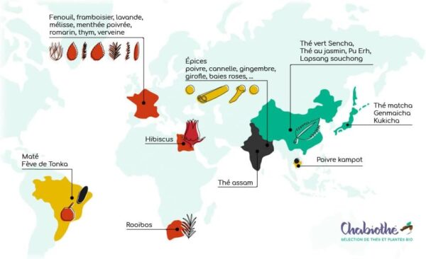 Thé blanc bio Mao Feng Chine Yunnan Chabiothé 200g-5