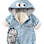 Image du produit précédent