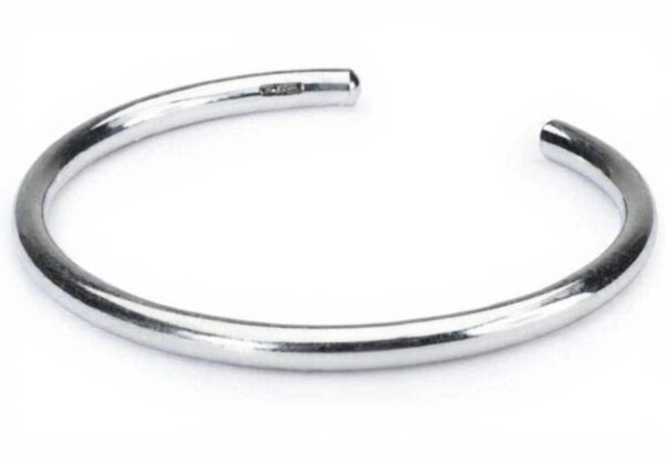 Bracelet Femme Argent 925 Trollbeads Modèle 15403