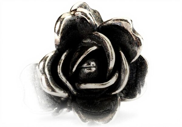 Trollbeads Drops Femme Argent 925 Perle Charm Bijou