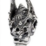 Image du produit précédent