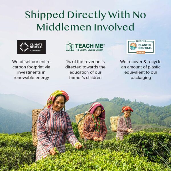 Thé blanc VAHDAM Imperial Himalayan sachets pyramide naturel-8