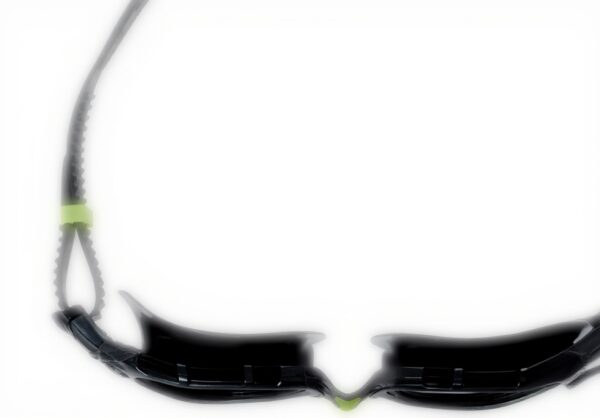 Lunettes de natation Zoggs Predator Flex polarisées adulte