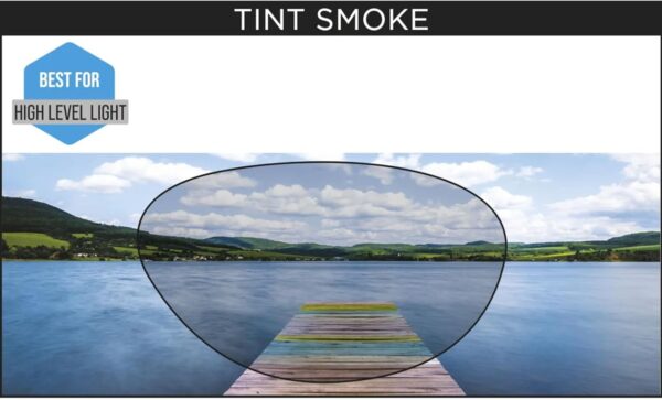 Lunettes de natation Zoggs Predator anti-buée confortable-2