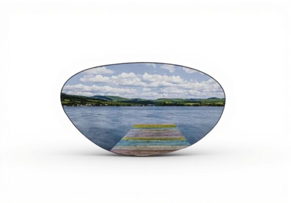 Lunettes de natation Zoggs Spectra anti-buée design étanche